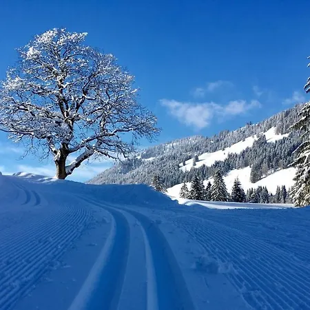 Bergblick Am Berg! Hotel Balderschwang