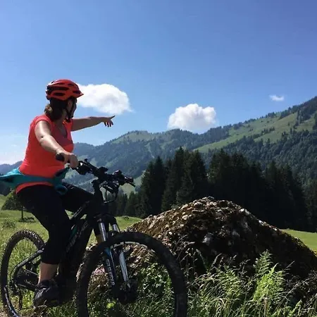 Bergblick Am Berg! 4* Balderschwang