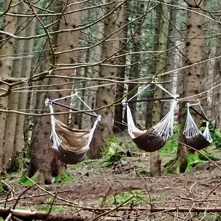 Bergblick Am Berg! Balderschwang