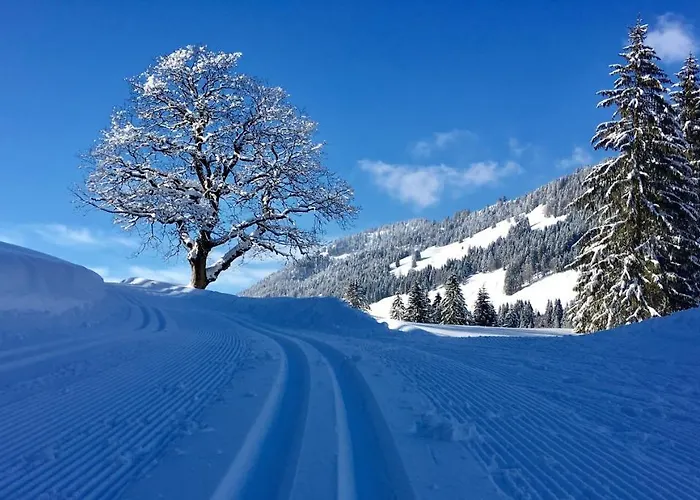 Bergblick Am Berg! Hotel Balderschwang