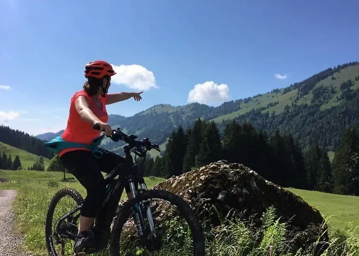 Bergblick Am Berg! 4* Balderschwang