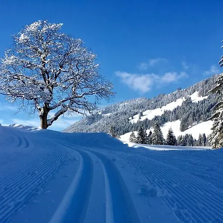 Bergblick Am Berg! Hotel Balderschwang